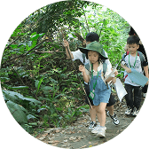 Activity on the program