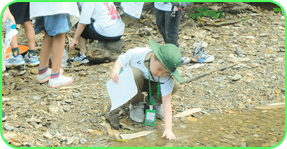 why choose our service