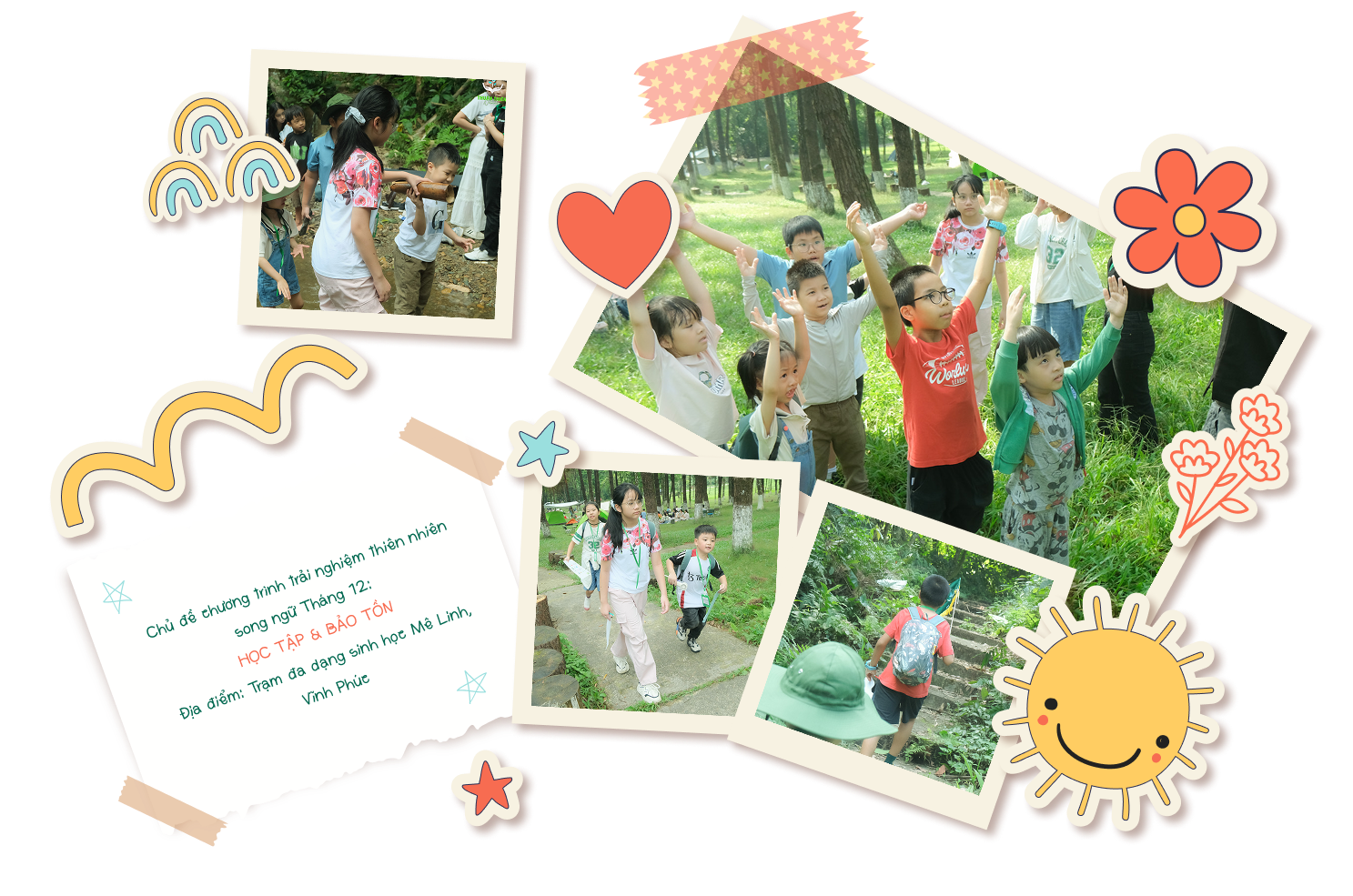 why choose our service